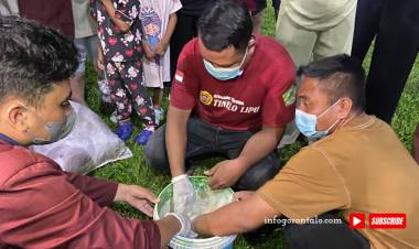 Dukung Pertanian Berkelanjutan, Kompos Kotoran Sapi Jadi Solusi Ramah Lingkungan