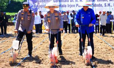 Kapolda Gorontalo Irjen Widodo Ikut Tanam Jagung, Dorong Ketahanan Pangan Daerah